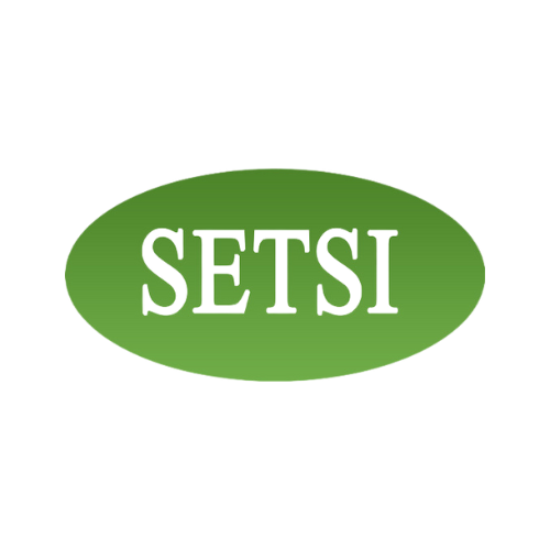 SETSI